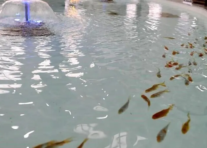 Afbel Termal & Hotel Afyonkarahisar