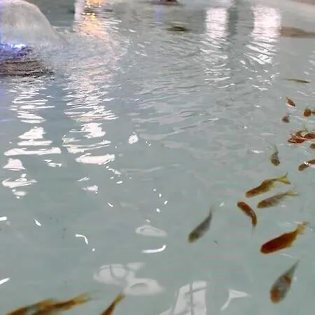 Afbel Termal & Ξενοδοχείο Αφιόν